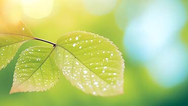 “秋意浓，处暑养生小贴士暖心奉上”